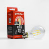Лампа Эдисона LED ETRON, E27, 4200K, 8W (1-EFP-110)